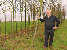 bomen duvelpark